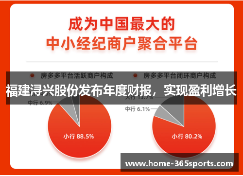 福建浔兴股份发布年度财报，实现盈利增长